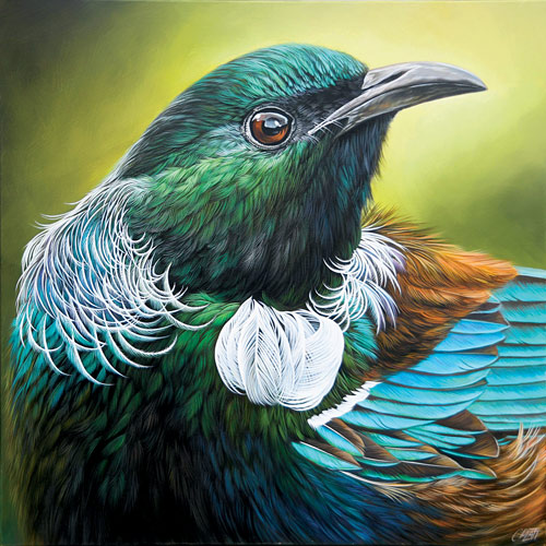 Craig Platt nz bird art, Tui portrait, oil on canvas